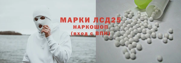 ГАЛЛЮЦИНОГЕННЫЕ ГРИБЫ Вязьма