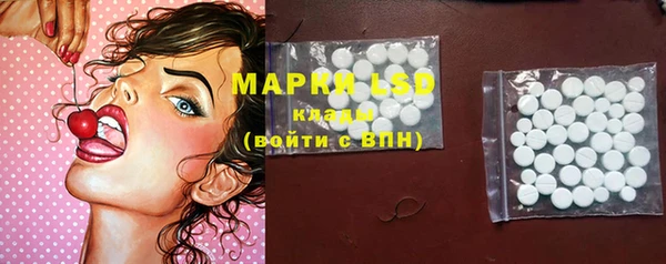 ГАЛЛЮЦИНОГЕННЫЕ ГРИБЫ Вязьма