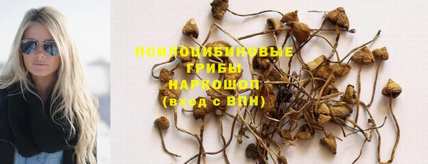 ГАЛЛЮЦИНОГЕННЫЕ ГРИБЫ Вязьма