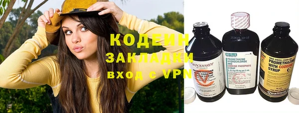 ГАЛЛЮЦИНОГЕННЫЕ ГРИБЫ Вязьма
