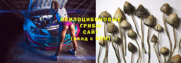 мяу мяу мука Вязники